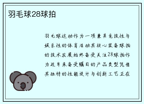 羽毛球28球拍