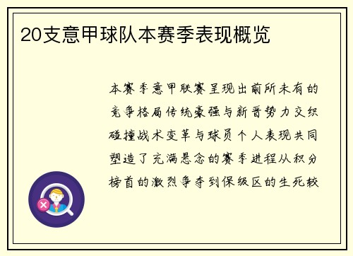 20支意甲球队本赛季表现概览