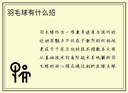 羽毛球有什么招